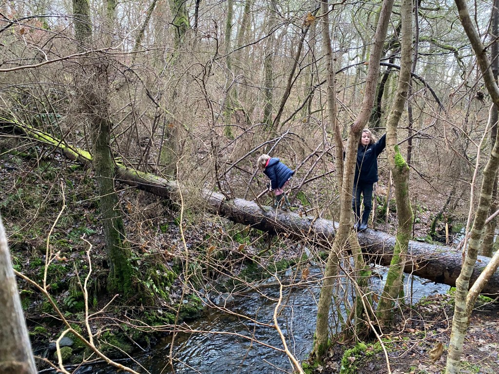 Project Based Learning: An&nbsp;Overview